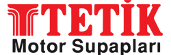 Tetik Logo